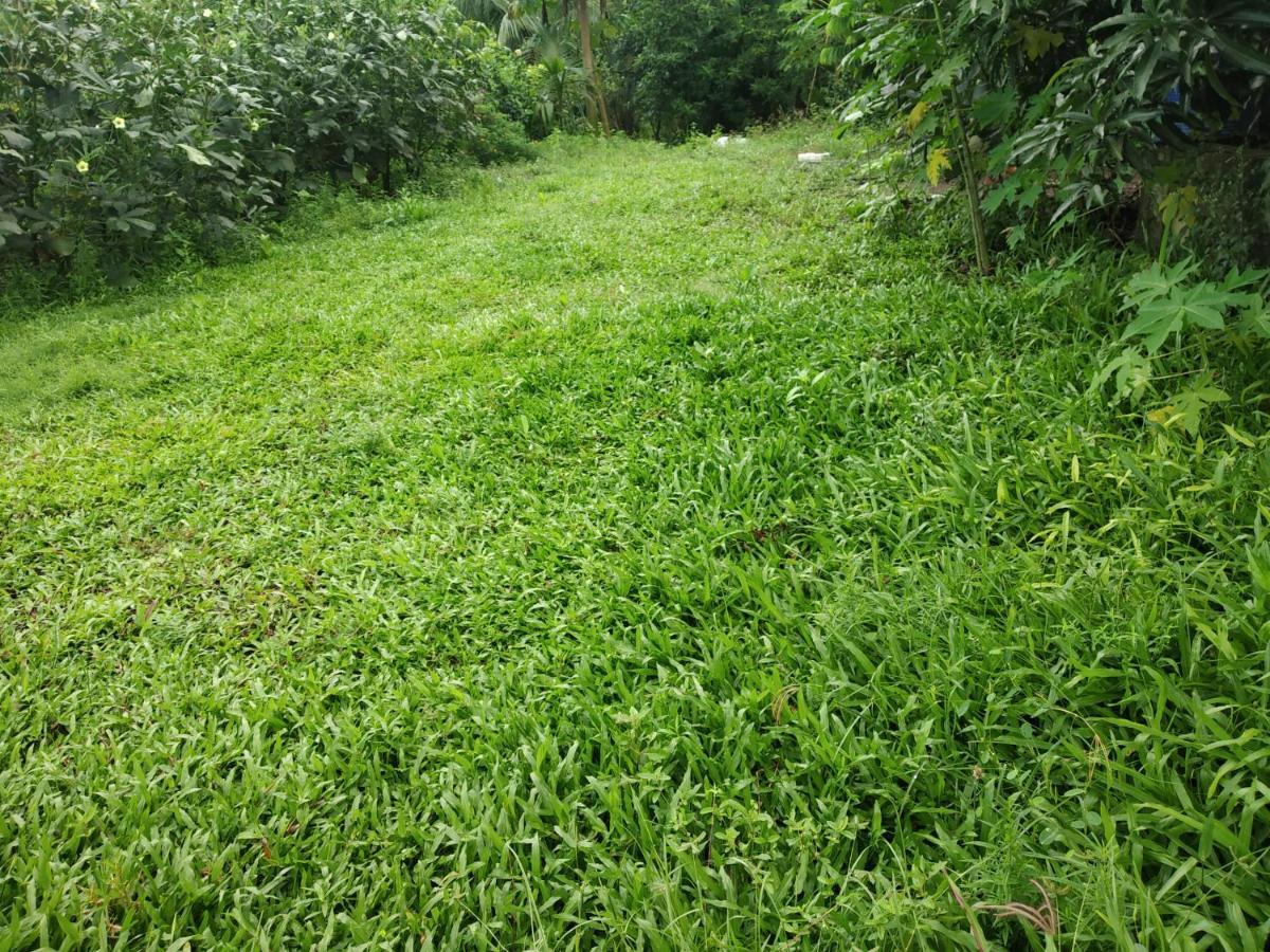 Kulswami Cottage Alibaug Εξωτερικό φωτογραφία